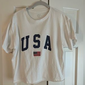 Brandy Melville (J. Galt) Cropped USA T-Shirt